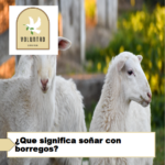 ¿Que significa soñar con borregos? ¿Que significa soñar con borregos?