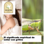 El significado espiritual de soñar con grillos El significado espiritual de soñar con grillos