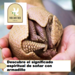 Descubre el significado espiritual de soñar con armadillo Descubre el significado espiritual de soñar con armadillo