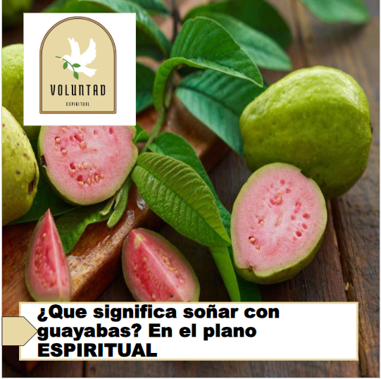 ¿Que significa soñar con guayabas? En el plano ESPIRITUAL