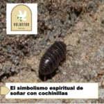 El simbolismo espiritual de soñar con cochinillas El simbolismo espiritual de soñar con cochinillas