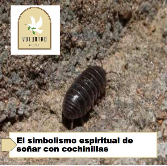 El simbolismo espiritual de soñar con cochinillas