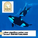 ¿Que significa soñar con orcas? ESPIRITUALIDAD ¿Que significa soñar con orcas? ESPIRITUALIDAD