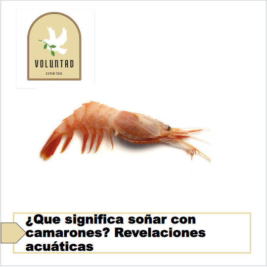 ¿Que significa soñar con camarones? Revelaciones acuáticas
