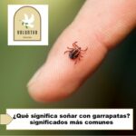 ¿Qué significa soñar con garrapatas? significados más comunes ¿Qué significa soñar con garrapatas? significados más comunes